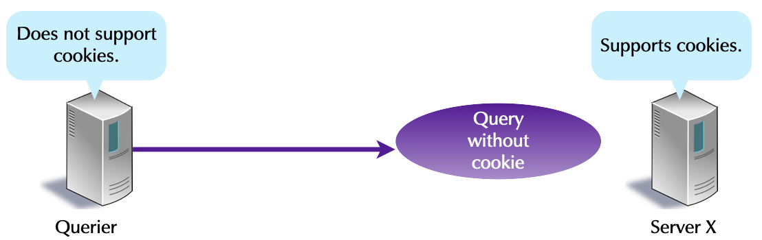 0906-DNS-cookies.png