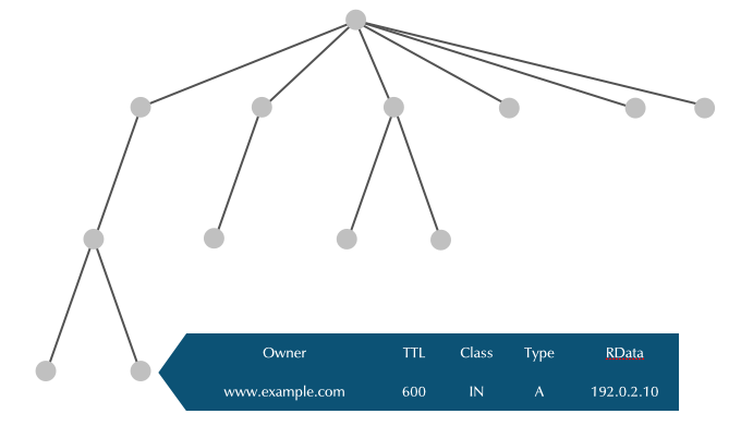 dns-namespace02.png